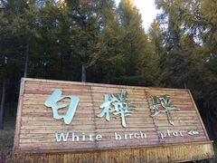 -塞罕坝国家级自然保护区