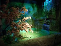 -常州海昌海洋探索馆