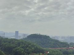 -光明刘冰乳鸽店(光明法政北路店)