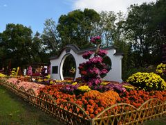 -上海共青森林公园