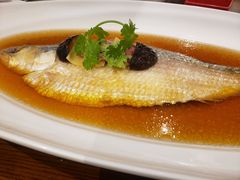 -乔家栅(襄阳南路店)