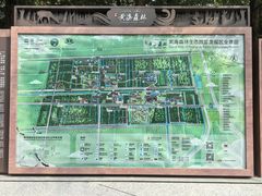 -黄海国家森林公园