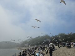 -棒棰岛宾馆景区