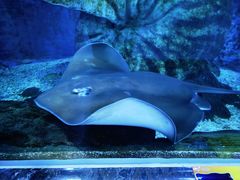 -多彩贵州城极地海洋世界