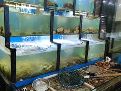 水产区-老东镇啤酒屋海鲜加工·蒸汽海鲜·海鲜烧烤(台东店)
