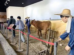 -河北村民俗体验园