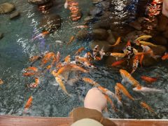 -潇湘甲鱼村(清河店)