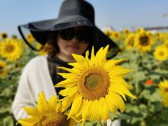 -映月湖中央公园