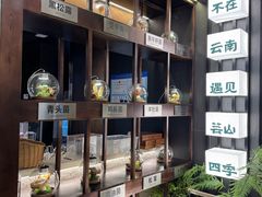 -芸山季·云南山珍菌火锅(人民广场来福士店)