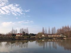 -上海长兴岛郊野公园