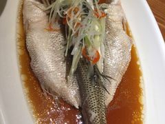-又一福烤鸭·北京菜(东四店)