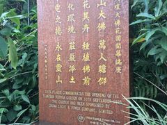 -天坛大佛