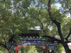 -北京国子监胡同