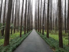 -上海怡沁园度假酒店