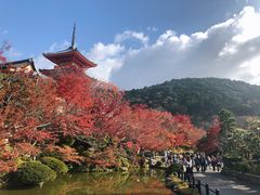 -有栖山 清光院 清水寺