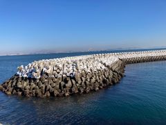 -东港音乐喷泉广场