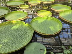 -国家植物园南园