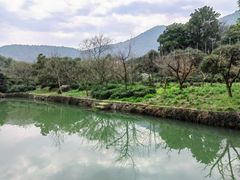 -树山生态村