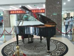 -成都市郫都区人民医院