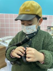 -Moni星球萌宠·小马宝莉·灵蛇·高端高阶全萌宠互动体验俱乐部(红豆国际广场店)
