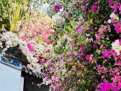 -深圳国际园林花卉博览园