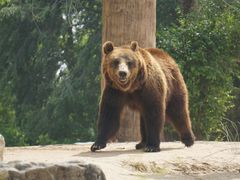 -北京野生动物园