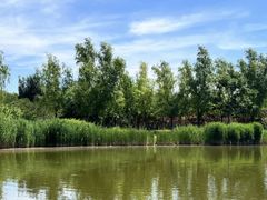 -永定河休闲森林公园