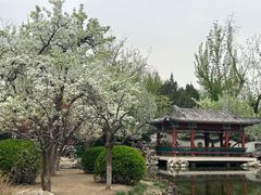-宣武艺园