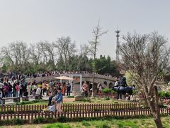 -赵州桥景区