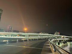 -演武大桥观景平台