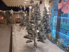 -天空花园餐吧·生日·团建(南山店)