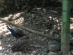 -藏龙百瀑风景区