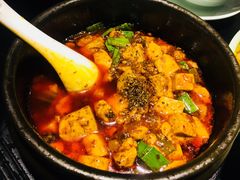 -陈麻婆豆腐总店