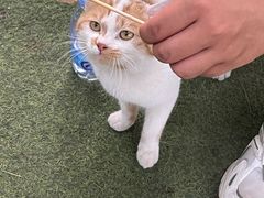 -尚庄度假村·庭台树下·户外烧烤·团建CS·轰趴营地(上庄水库店)