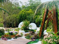 -深圳仙湖植物园