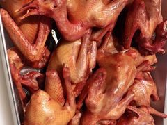 -鸽子窝(青塔店)