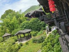 -大唐贡茶院