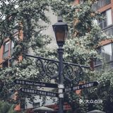 如果你到上海，一定要来思南路看看