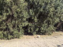 -会宾园·云山宴中餐