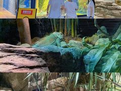 -宁波野生动物园
