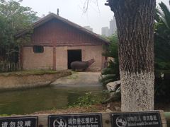 -南昌动物园