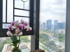 -安乐茶饭·手工素菜·高空景观餐厅(千灯湖店)