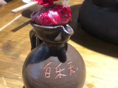 -白乐天毛肚火锅馆(南滨路店)