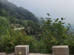 -白草畔自然风景区