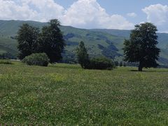 -新疆那拉提国家旅游度假区