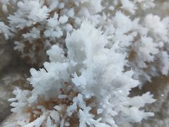 -湖南省地质博物馆