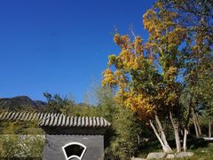 -阳台山自然风景区