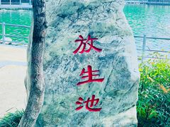 -莲湖公园