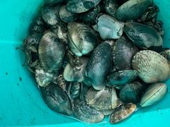 -天津东疆湾沙滩景区
