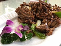 -宝发园名菜馆
